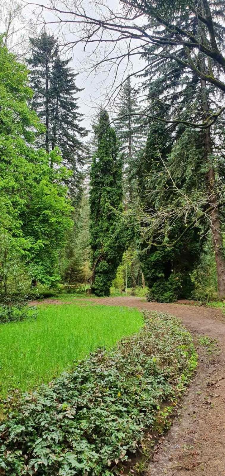 Green Agarak Guest House Near Dendropark, Stepanavan Gyulagarak Dış mekan fotoğraf